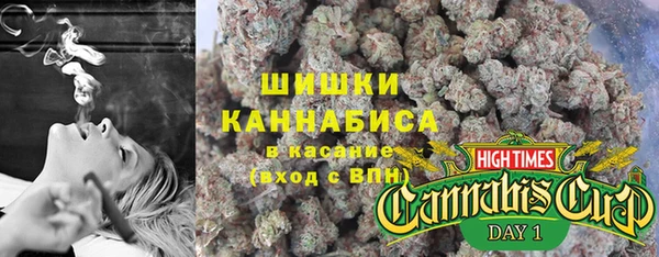 прущие грибы Балабаново