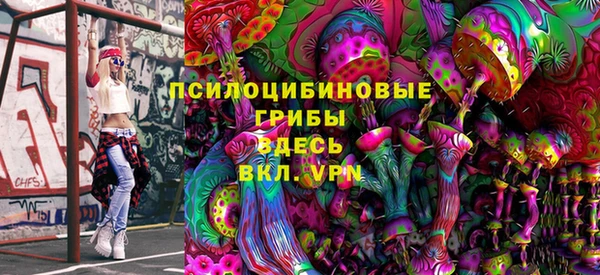 прущие грибы Балабаново