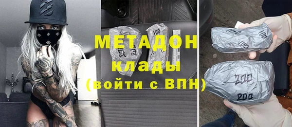 прущие грибы Балабаново