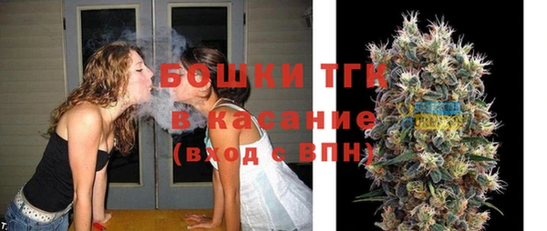 прущие грибы Балабаново