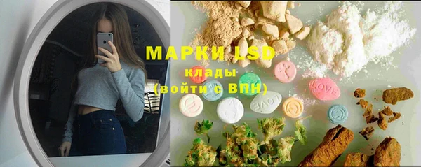 прущие грибы Балабаново