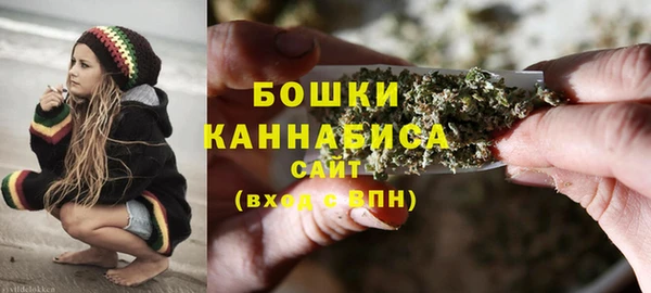 прущие грибы Балабаново