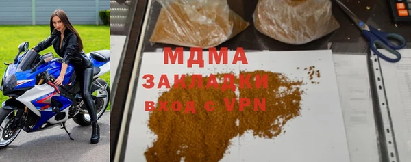 прущие грибы Балабаново