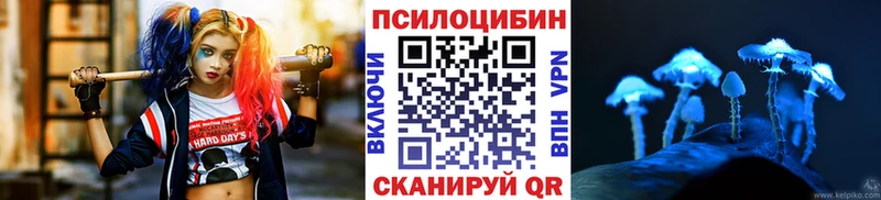 закладка  блэк спрут ONION  Псилоцибиновые грибы Psilocybine cubensis  Бор 